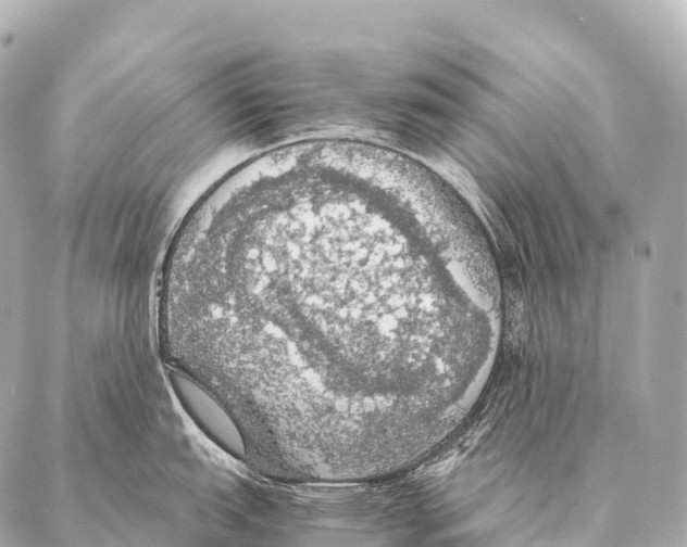 X0000087021151200705141850