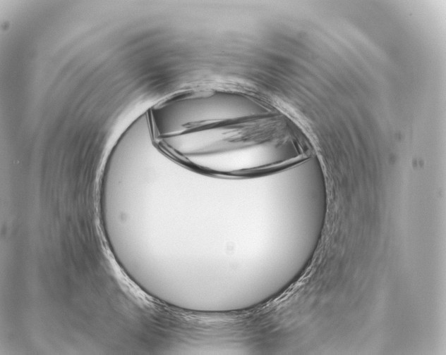 X0000087021152200705141850