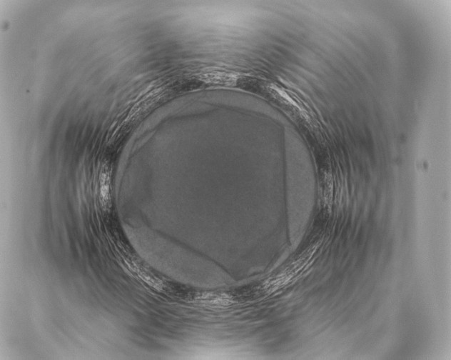 X0000087021154200705141849