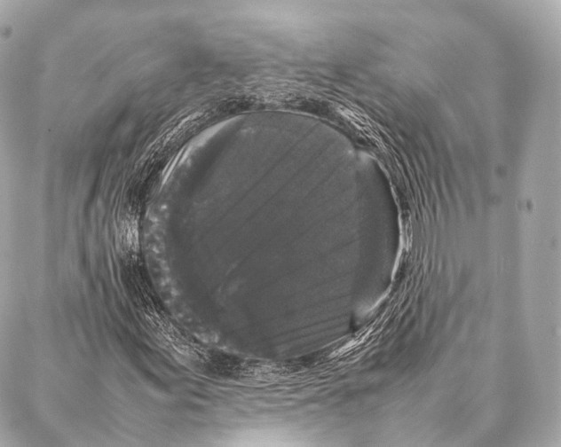 X0000087021155200705141849