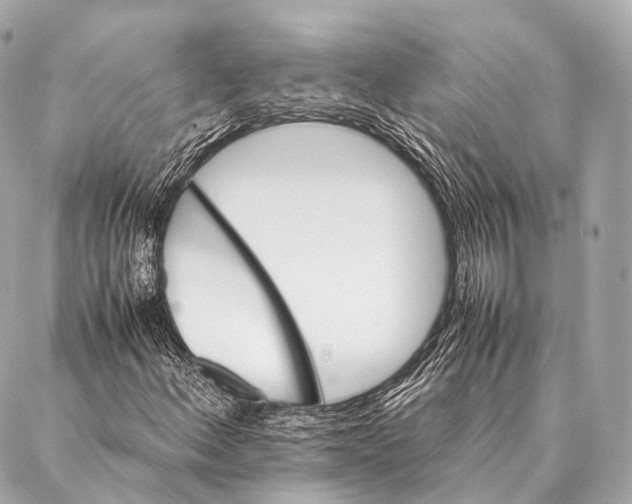 X0000087021156200705141849