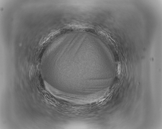 X0000087021157200705141849