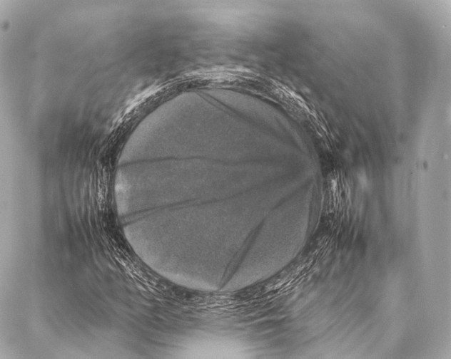 X0000087021158200705141849