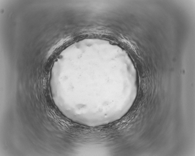 X0000087021159200705141849