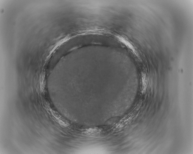 X0000087021160200705141849