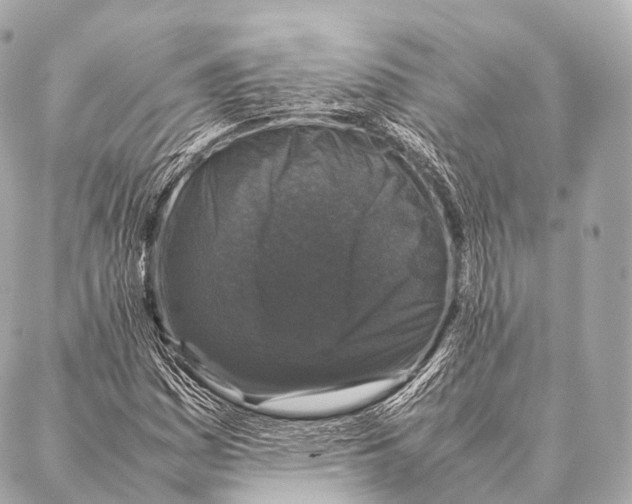 X0000087021161200705141849