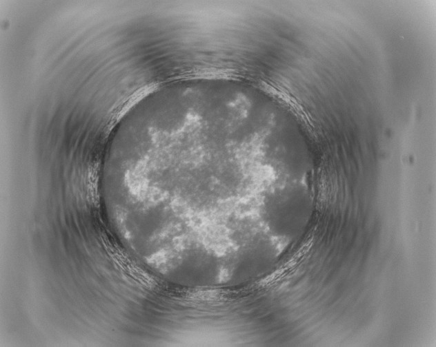 X0000087021162200705141849