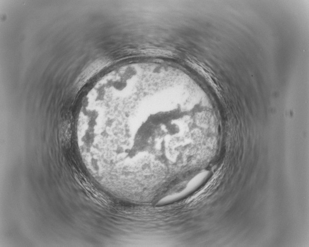 X0000087021163200705141849