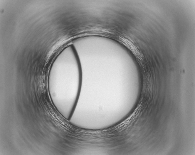 X0000087021164200705141849