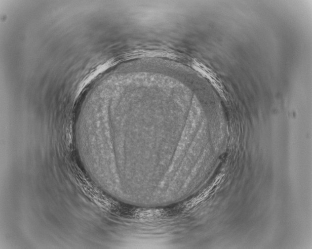 X0000087021165200705141849