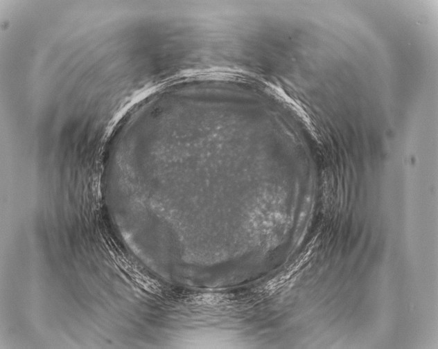 X0000087021166200705141849