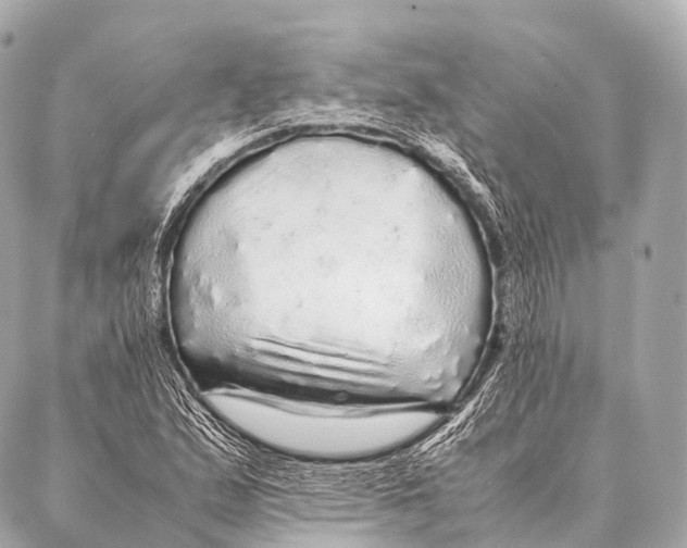 X0000087021167200705141849