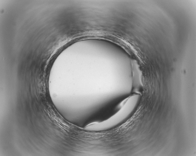 X0000087021168200705141849