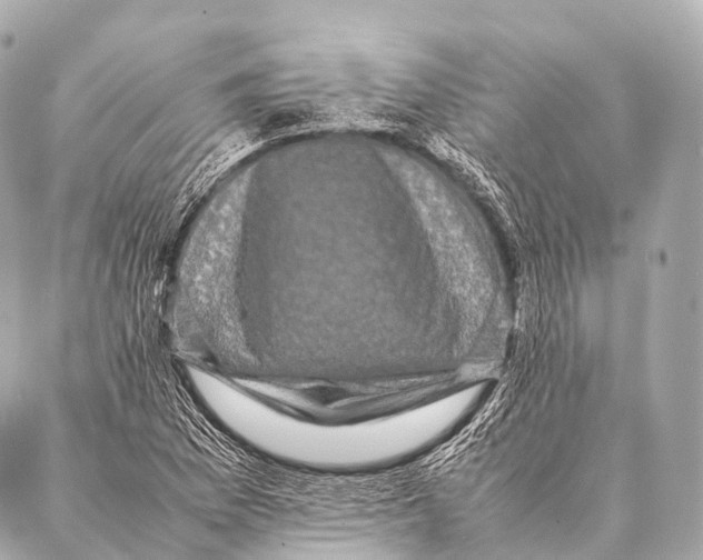 X0000087021169200705141849