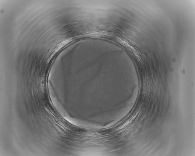 X0000087021170200705141849