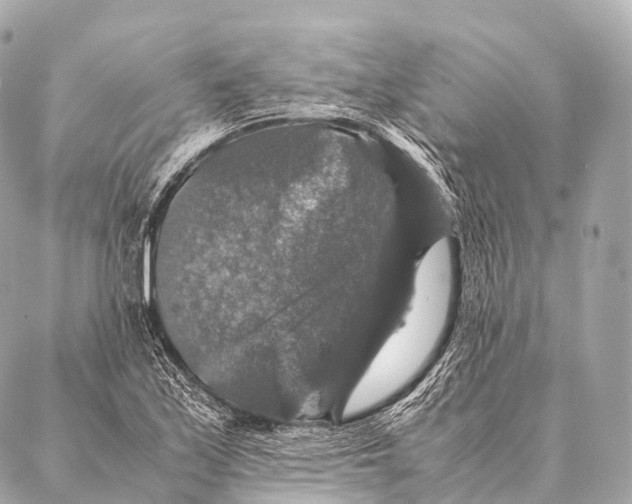 X0000087021171200705141849