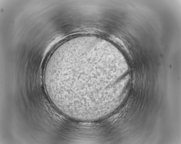 X0000087021172200705141849