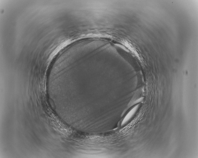 X0000087021173200705141849