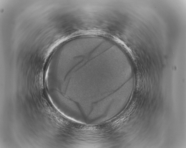 X0000087021174200705141849