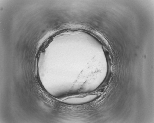 X0000087021175200705141849