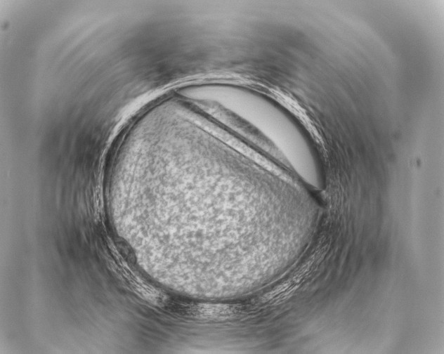 X0000087021176200705141849