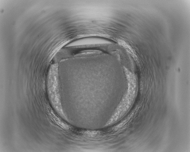 X0000087021177200705141849