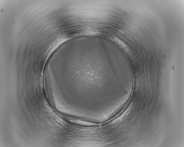 X0000087021178200705141849