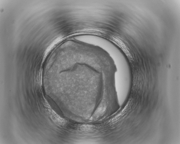 X0000087021180200705141849