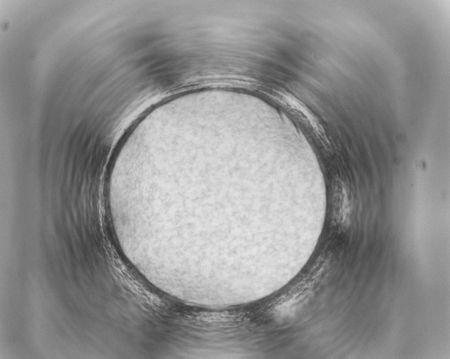 X0000087021182200705141849