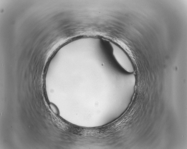 X0000087021183200705141849