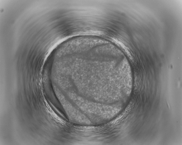 X0000087021184200705141849