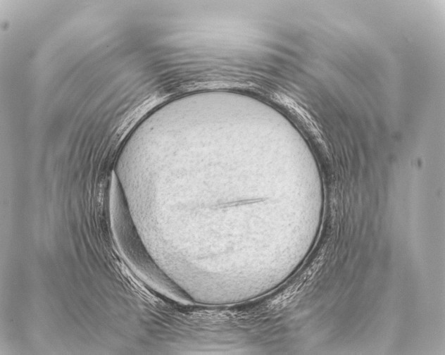 X0000087021185200705141849