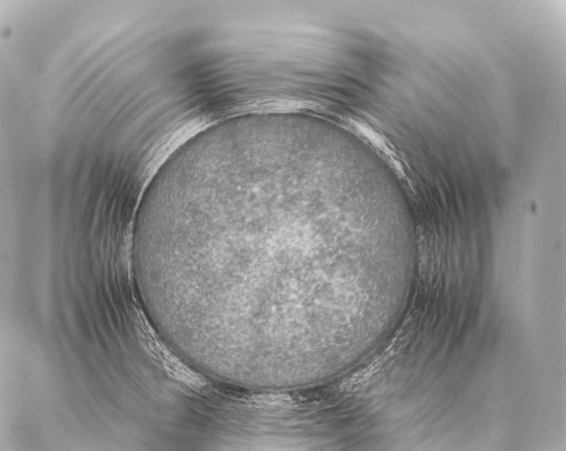 X0000087021186200705141849