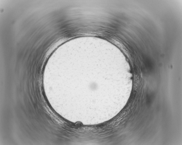 X0000087021187200705141849