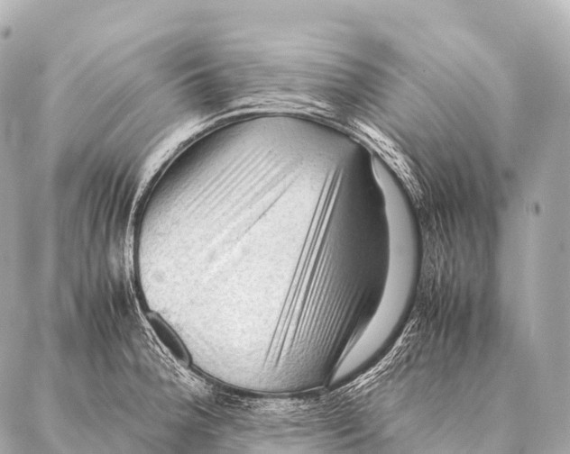 X0000087021188200705141849