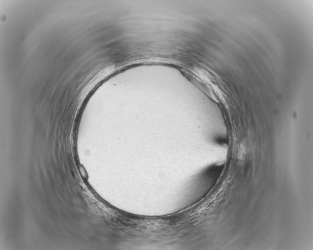 X0000087021189200705141849