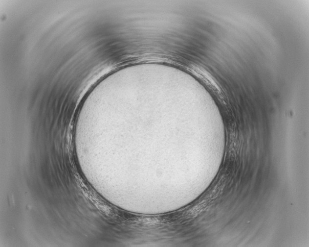 X0000087021190200705141849