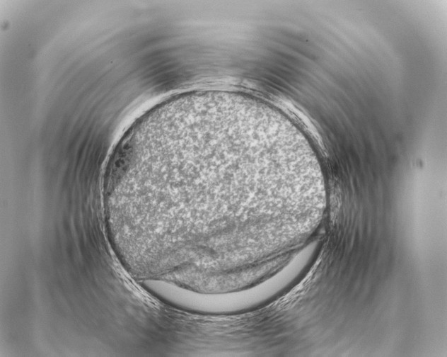 X0000087021192200705141849