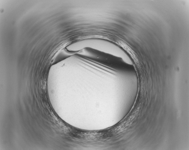 X0000087021193200705141849