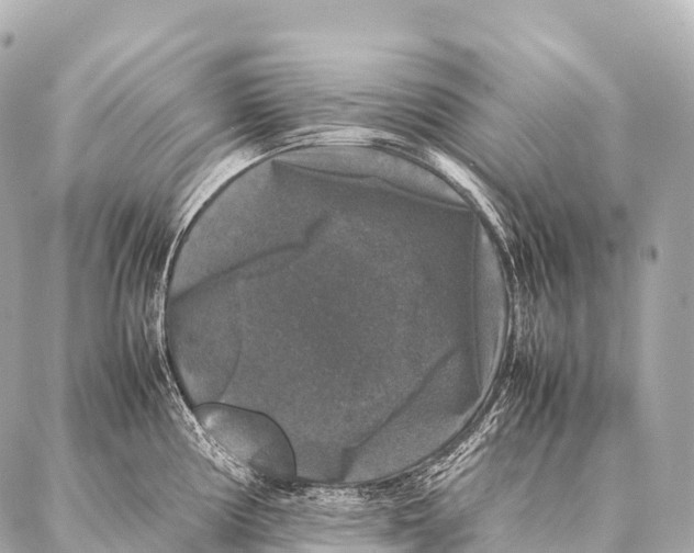 X0000087021194200705141848