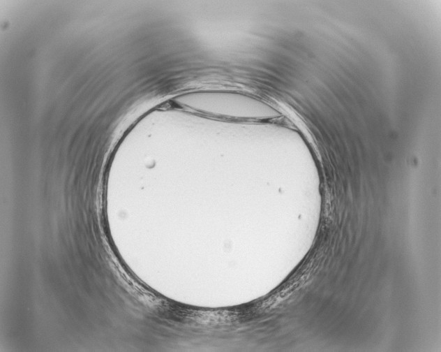 X0000087021195200705141848