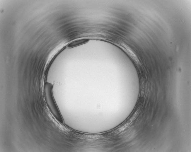 X0000087021196200705141848