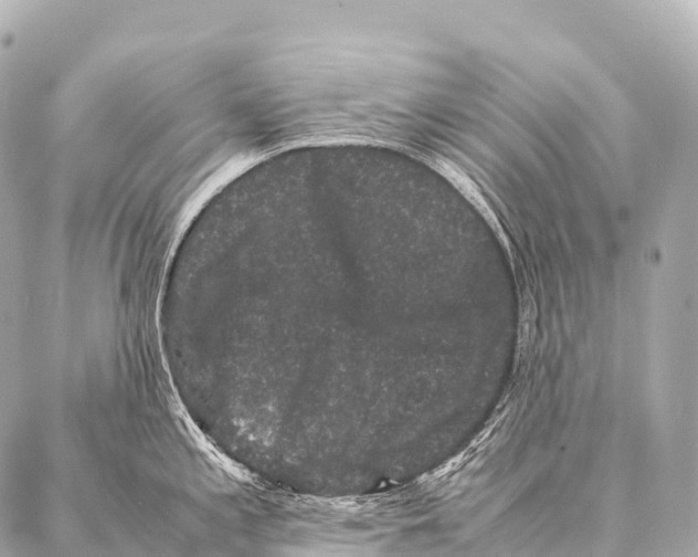 X0000087021197200705141848