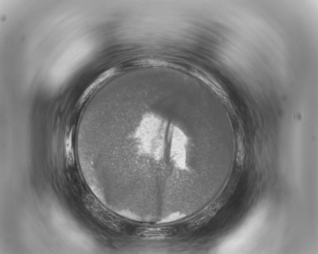 X0000087021198200705141848