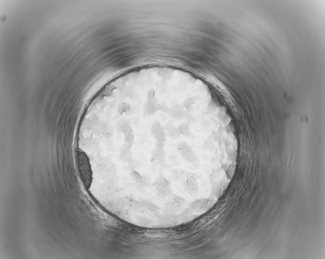 X0000087021199200705141848