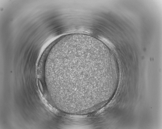 X0000087021200200705141848