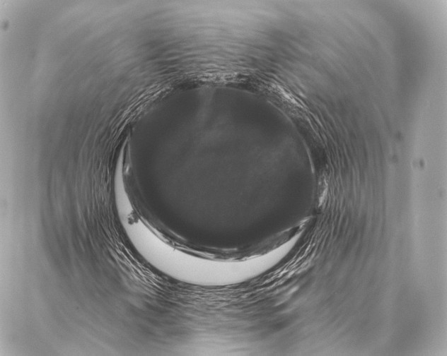 X0000087021202200705141848