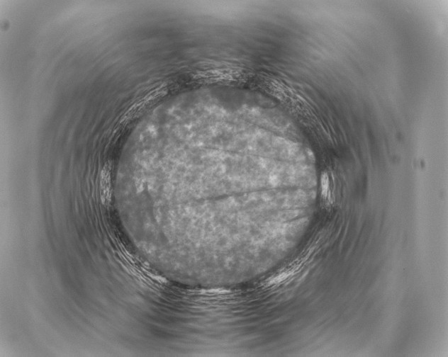 X0000087021203200705141848