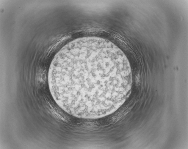 X0000087021204200705141848