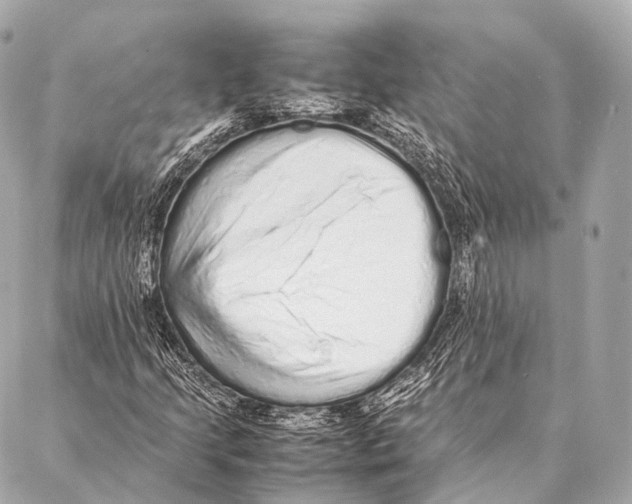 X0000087021205200705141848